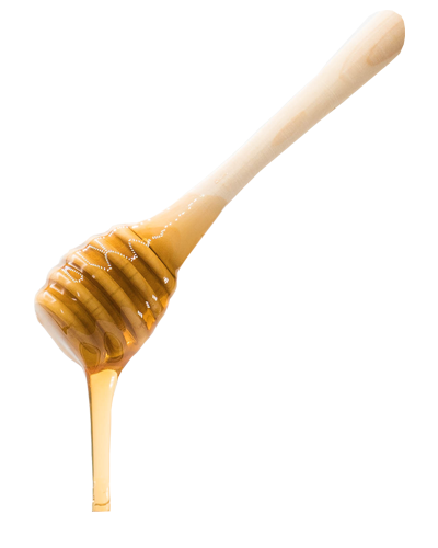 Photo de la cuillère de miel