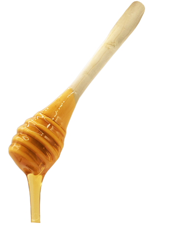 Photo de la cuillère de miel